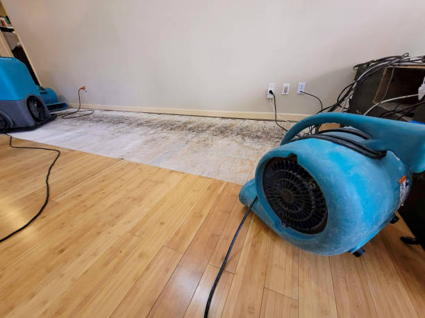 Professional Flood Damage Cleanup technician working in Del Rey, CA